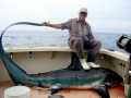 Thresher Shark