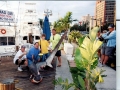 Thresher Shark
