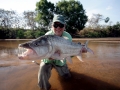 Tigerfish