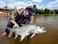 Tigerfish