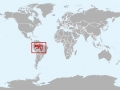 Tucuxi Dolphin