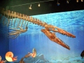 Tylosaurus