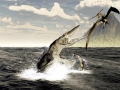 Tylosaurus