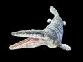 Tylosaurus