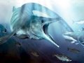 Tylosaurus