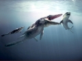 Tylosaurus
