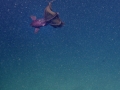 Vampire Squid