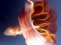 Vampire Squid