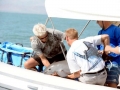 Vaquita Porpoise