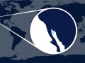 Vaquita Porpoise