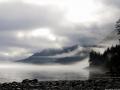 Robson-Bight-1