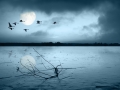 Favorite Wallpapers