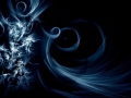 Favorite Wallpapers