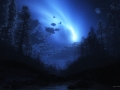Favorite Wallpapers