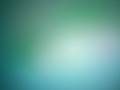 Favorite Wallpapers