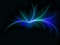 Favorite Wallpapers