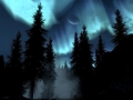 Favorite Wallpapers