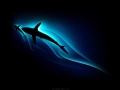 Favorite Wallpapers