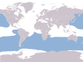 Wandering Albatross