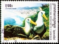 Waved Albatross