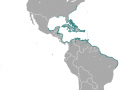 West Indian Manatee