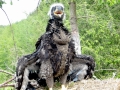 White-tailed Sea Hawk