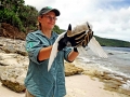 White-tailed Tropicbird