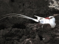 White-tailed Tropicbird