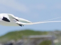 White-tailed Tropicbird