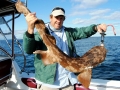 Wobbegong Shark