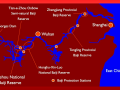Yangtze River Finless Porpoise