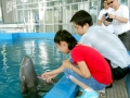 Yangtze River Finless Porpoise