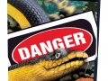 Yellow-bellied Sea Snake