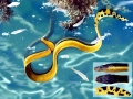 Yellow-bellied Sea Snake