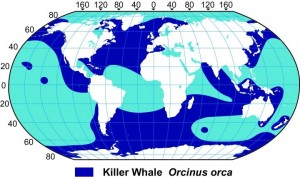 Map of Orcinus orca distribution