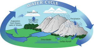 Water-Cycle-Art2A