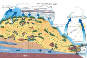 watercycle2