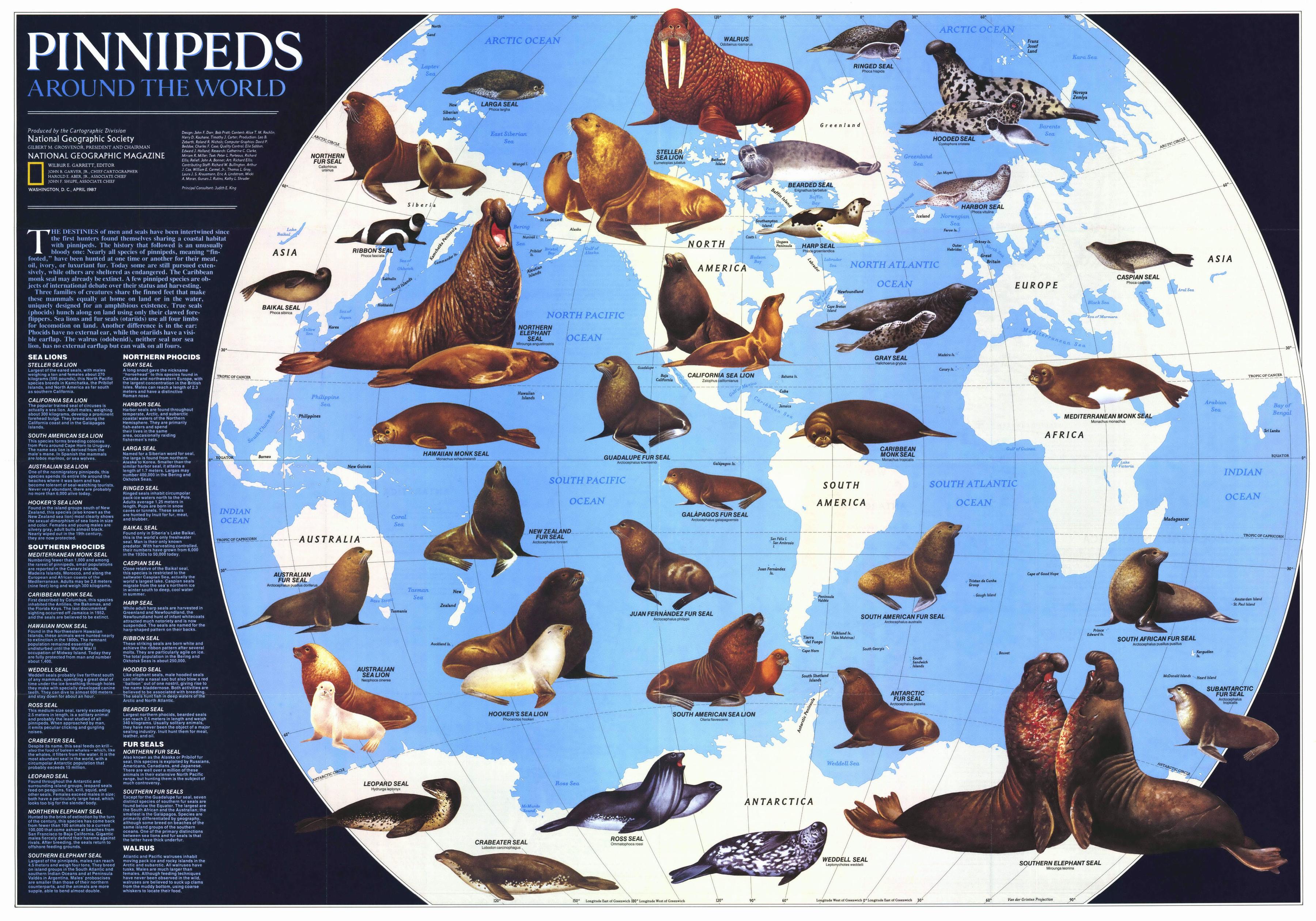 World of Pinnipeds "OCEAN TREASURES" Memorial Library